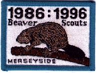 Beavers.jpg (88912 bytes)