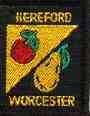 The county badge for the joint counties of Herefordshire & Worcestershire illustrates the fruit that is grown all over the two